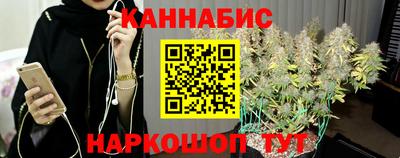 гидра Краснознаменск