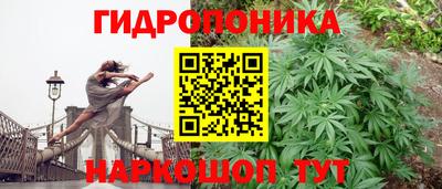 ALPHA PVP Краснокаменск