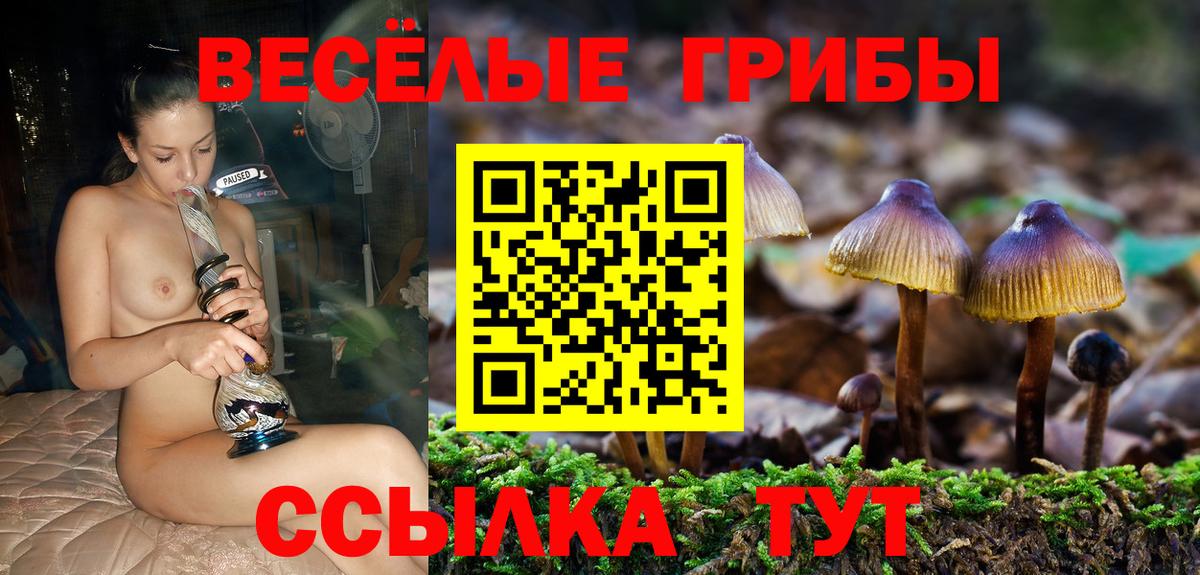 Галлюциногенные грибы MAGIC MUSHROOMS  Вход с VPN  Галлюциногенные грибы ЛСД  Кольчугино 