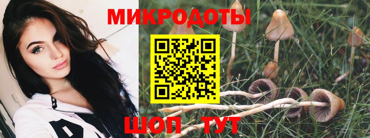 Галлюциногенные грибы мухоморы Кольчугино