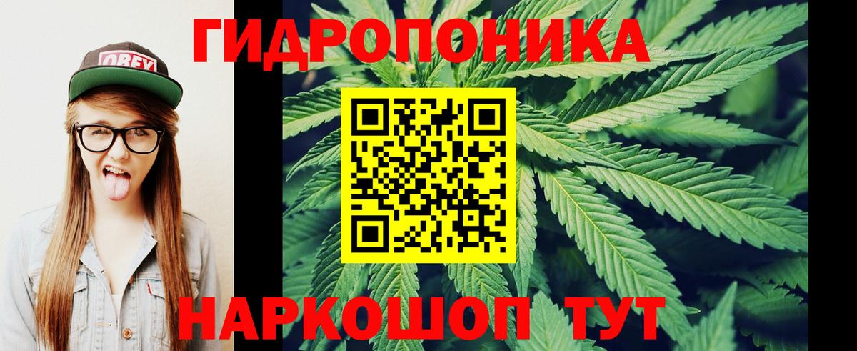 Конопля LSD WEED  Бошки марихуана White Widow  Конопля ГИДРОПОН  Кольчугино  Вход с VPN  Конопля Ganja 